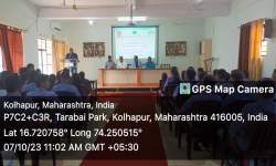 Career Guidance in IT Sector