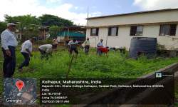 Cleanliness Drive (Department of Botany)