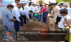 Tree Plantation  (Department of Botany)