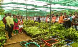 Field Visit-Shivaji University Lead  Botanical Garden (Department of Botany)