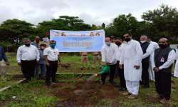 Tree Plantation (Department of Botany)