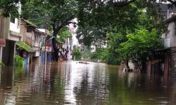 Participation in Disaster Management Camp