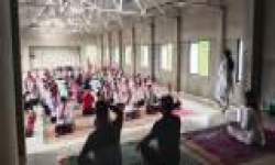 International Yoga Day