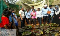 Field Visit-Shailesh Nursery (Department of Botany)