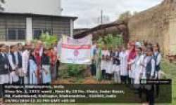 Tree Plantation