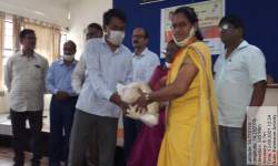 Extension Activity